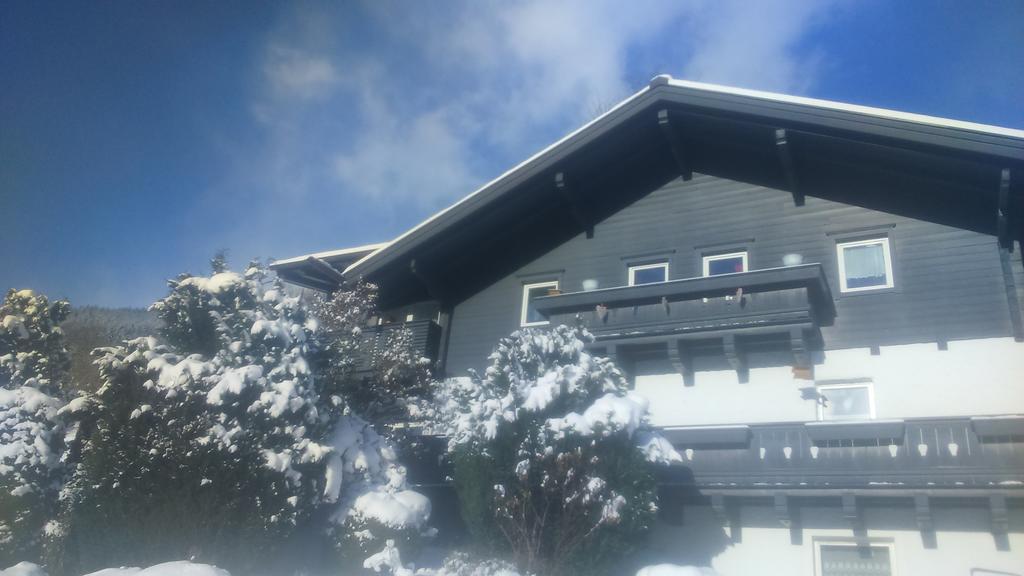 Emma Apartment Bramberg am Wildkogel Exterior photo