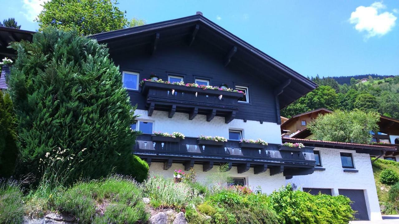 Emma Apartment Bramberg am Wildkogel Exterior photo
